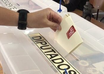 Conoce a los postulantes a diputado por el Distrito 8 en las elecciones 2025.