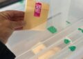 Elecciones 2025: ¿Cuáles son los documentos válidos para votar?