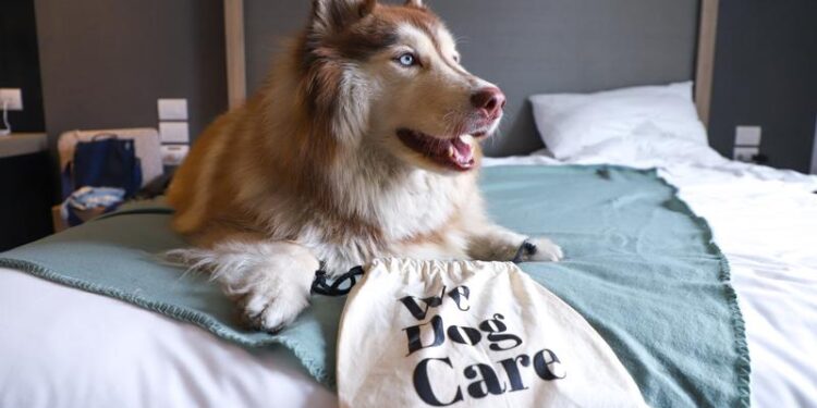 INNSiDE by Meliá Lima Miraflores estrena su programa Pet Friendly