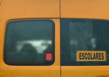 Senado se va a poner a hablar sobre la “Ley Martín”, que refuerza las responsabilidades del transporte escolar.
