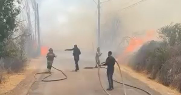 [AHORA] Enorme operativo de Bomberos y Conaf por incendio forestal en Colina
