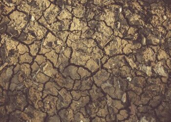 Efectos ecológicos y sociales de la hipersequía en Chile