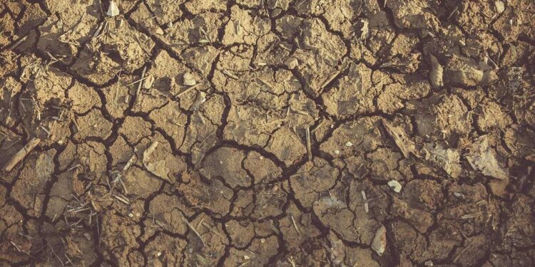 Efectos ecológicos y sociales de la hipersequía en Chile