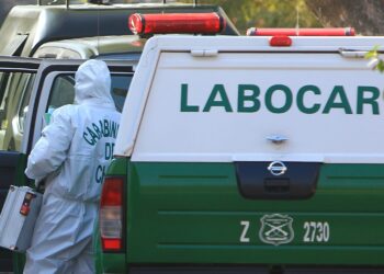 Labocar investiga las causas de un incendio que consumió tres hectáreas en un fundo.