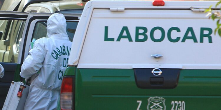 Labocar investiga las causas de un incendio que consumió tres hectáreas en un fundo.