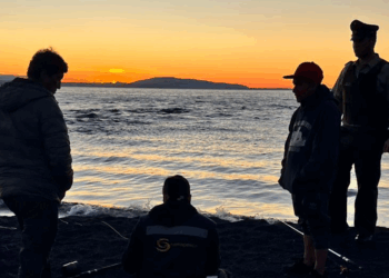 Campaña contra furtivos también dirige su atención a restaurantes que adquieren productos – LAVOZDEPUCON