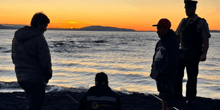 Campaña contra furtivos también dirige su atención a restaurantes que adquieren productos – LAVOZDEPUCON