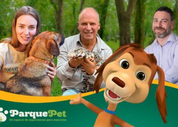 Yoga con perros, adopciones y shows familiares al estilo chileno.