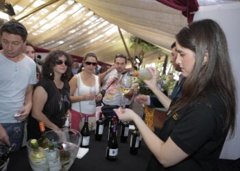 ¡Ya hay vino! Se aprobó el desarrollo de la 4ª Vendimia en el Valle del Maipo.