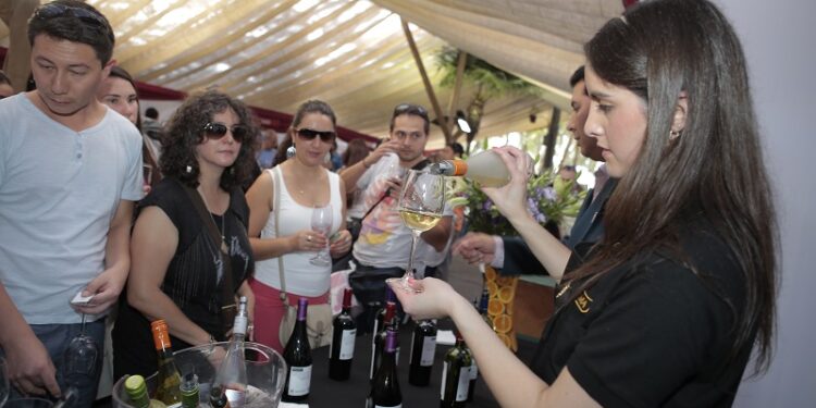 ¡Ya hay vino! Se aprobó el desarrollo de la 4ª Vendimia en el Valle del Maipo.