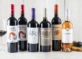 Seis bodegas chilenas destacan en el ranking de los premios «The World’s 50 Best Vineyards 2025».