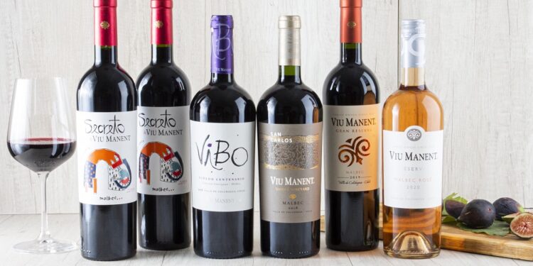 Seis bodegas chilenas destacan en el ranking de los premios «The World’s 50 Best Vineyards 2025».