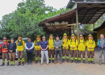 Reiteran la importancia de prevenir incendios forestales en la región de Valparaíso.