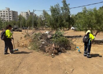 Municipalidad de Huechuraba intensifica la prevención de incendios con limpieza en Camino La Cintura.