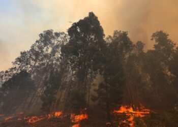 Se emite Alerta Temprana Preventiva en cuatro provincias de la región de Valparaíso ante el riesgo de incendios forestales.