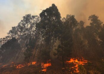 Emiten Alerta Temprana Preventiva en la región de Valparaíso debido a la amenaza de incendios forestales.