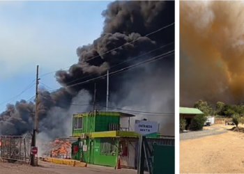 Alerta Roja en Maule debido a un incendio forestal próximo a viviendas.