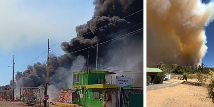 Alerta Roja en Maule debido a un incendio forestal próximo a viviendas.