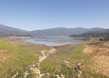 Paine: Laguna de Aculeo ahora es reconocida como Humedal Urbano y contará con protección.