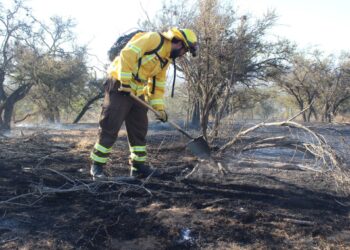 Conaf diseña un plan para prevenir y enfrentar posibles incendios forestales en Lo Vásquez.