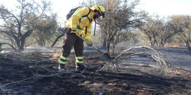 Conaf diseña un plan para prevenir y enfrentar posibles incendios forestales en Lo Vásquez.