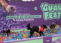 El festival de perros más grande de Chile.