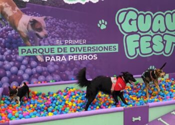 El festival de perros más grande de Chile.