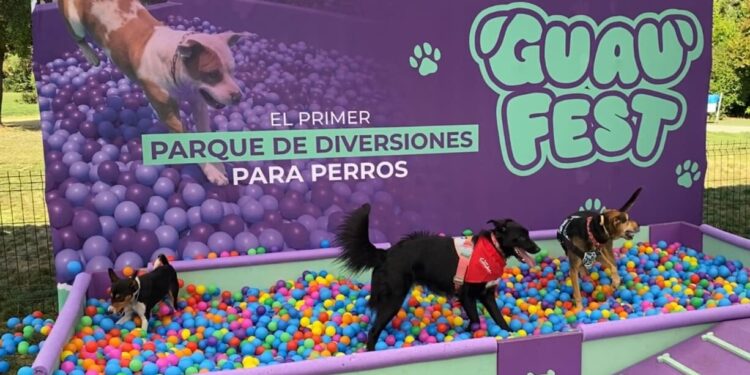 El festival de perros más grande de Chile.