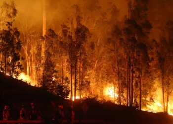 CONAF informó sobre aproximadamente 40 incendios forestales ocurridos durante la jornada de ayer.