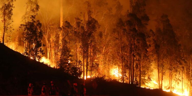 CONAF informó sobre aproximadamente 40 incendios forestales ocurridos durante la jornada de ayer.