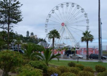 La “Gran Rueda” vuelve a Viña del Mar: se espera superar las 100 mil visitas y ofrecerá una función especial para Año Nuevo.