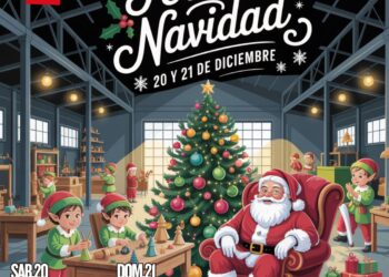 Persa Víctor Manuel en Barrio Franklin celebra la Navidad con su tercera Feria Navideña.