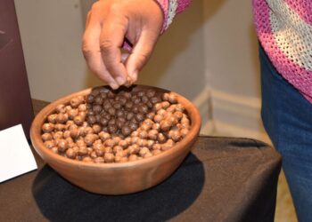 Universidad de Chile crea cereal nutritivo a base de amaranto.