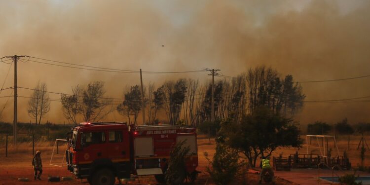 Senapred pide evacuación preventiva debido al avance del incendio en Maule.