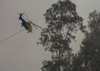 Apagaron incendio forestal que afectó 1 hectárea y llevó a declarar Alerta Roja en Olmué: no se registró amenaza para las viviendas.