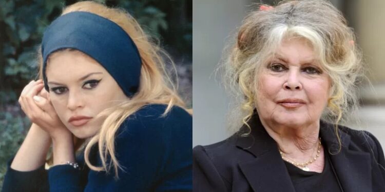 Despedida a Brigitte Bardot: ícono del cine y la música francesa.