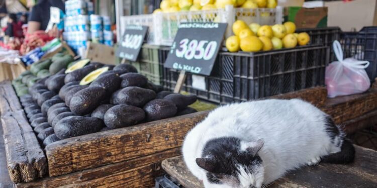 Barómetro UNAB: la economía chilena sigue en la senda de recuperación.