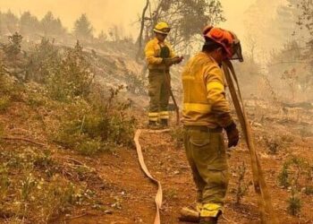 Alerta Roja en San Pedro por incendio forestal: el fuego sigue sin control.