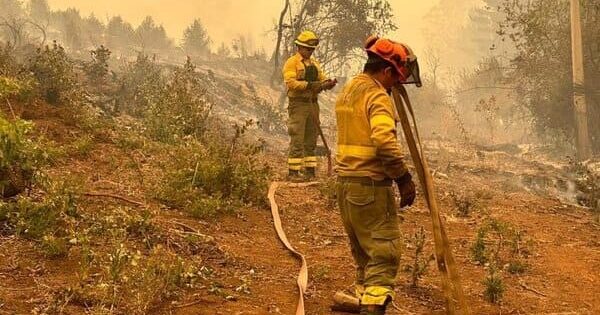 Alerta Roja en San Pedro por incendio forestal: el fuego sigue sin control.