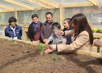 San Clemente encabeza la educación ambiental con 12 centros certificados en 2025.