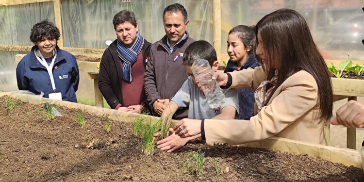 San Clemente encabeza la educación ambiental con 12 centros certificados en 2025.