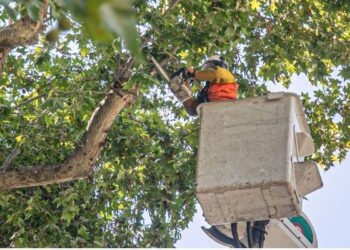Municipalidad de Lo Barnechea y Enel dan inicio a mejoras en la comuna.