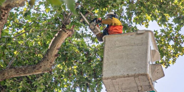 Municipalidad de Lo Barnechea y Enel dan inicio a mejoras en la comuna.