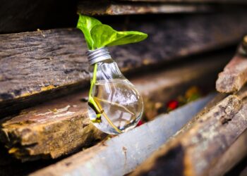 Corfo lanza convocatoria nacional para el Programa Inicia 2025.