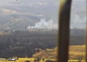 Senapred activa la Mensajería SAE y pide evacuar la zona de Camino El Turno en Cartagena debido a un incendio forestal.