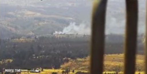 Senapred activa la Mensajería SAE y pide evacuar la zona de Camino El Turno en Cartagena debido a un incendio forestal.