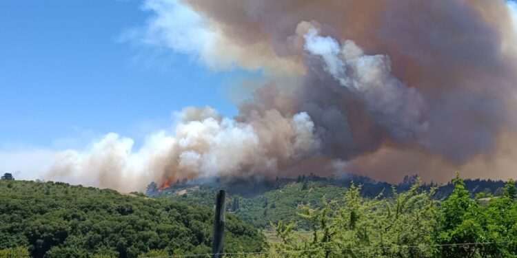 Alerta Roja en Santo Domingo: El fuego ha arrasado más de 200 hectáreas.