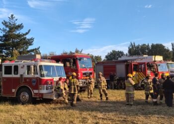 Incendio forestal descontrolado en Los Ángeles: Más de 60 hectáreas perjudicadas.