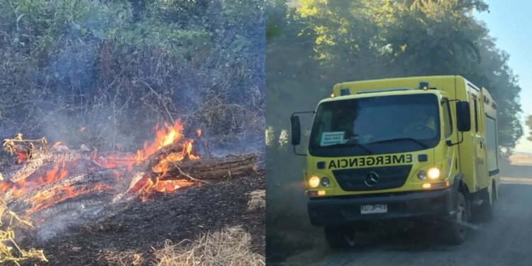 Incendio forestal en Los Ángeles devastó más de 100 hectáreas: se levanta la alerta roja.