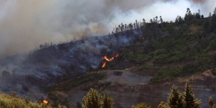 Biobío en alerta por elevado riesgo de incendios forestales.